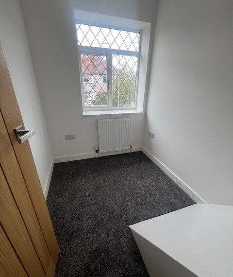 Pic 11