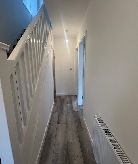 Pic 5